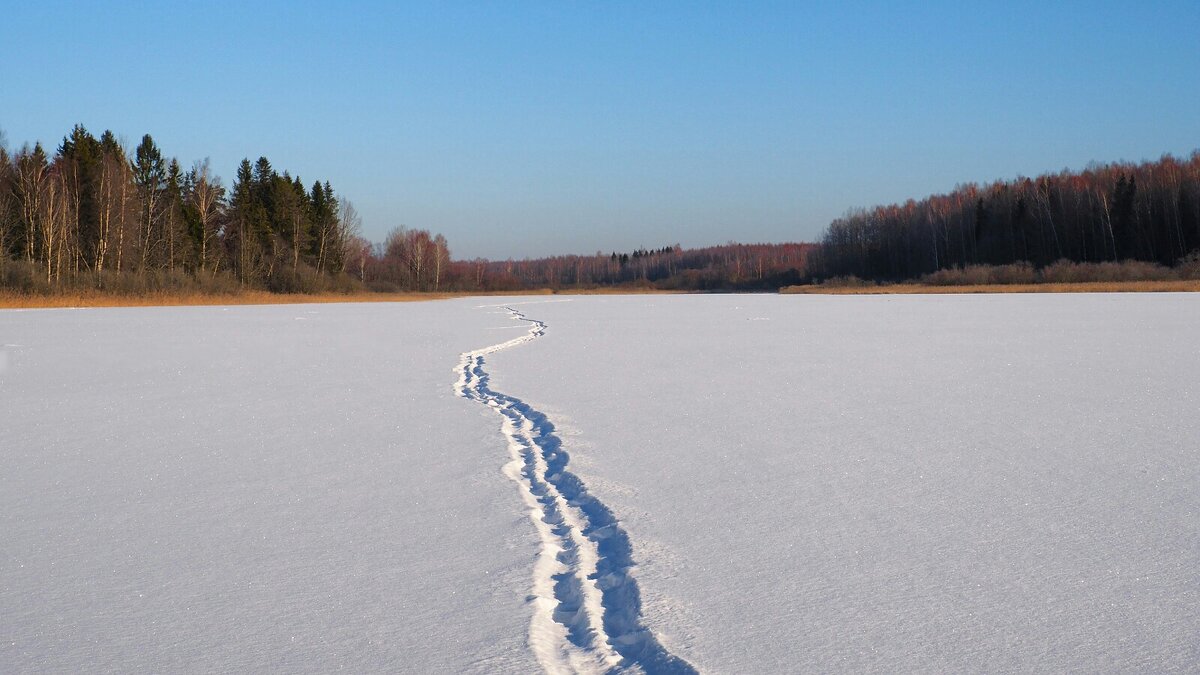 Рыбацкая тропа к горизонту (репортаж из поездок по). - Милешкин Владимир Алексеевич Рыбацкая тропа к горизонту (репортаж из поездок по). - Милешкин Владимир Алексеевич