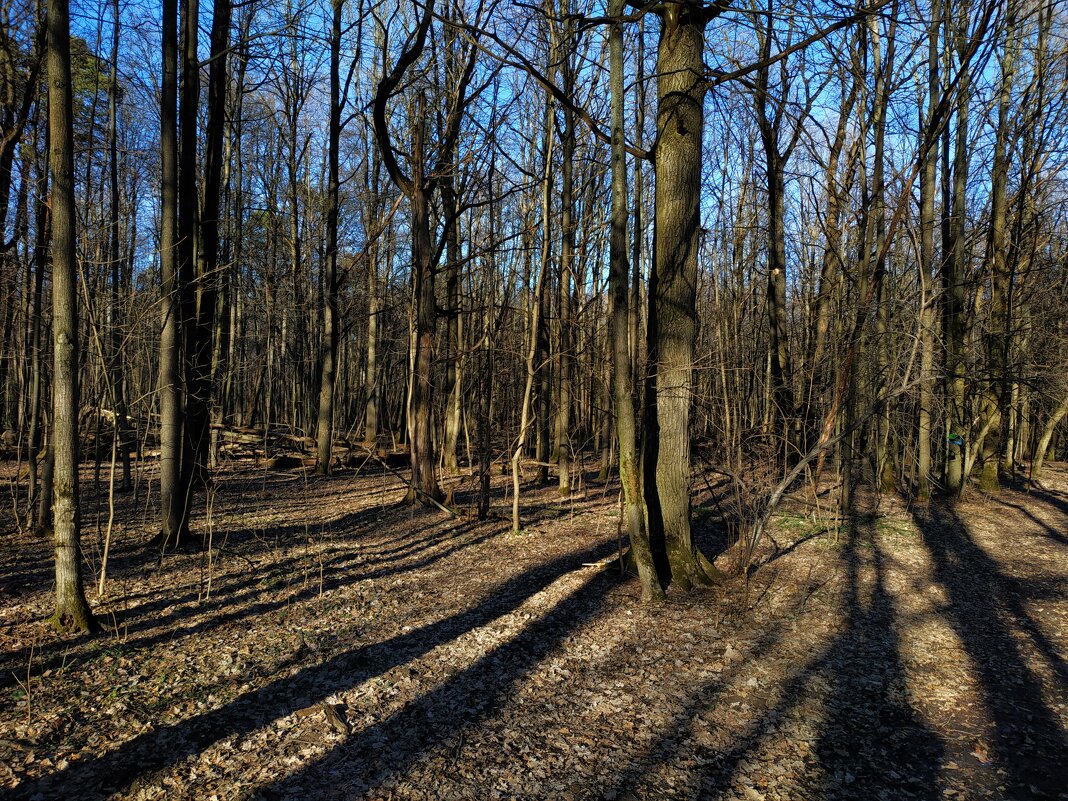 Март похожий на апрель - Андрей Лукьянов Март похожий на апрель - Андрей Лукьянов