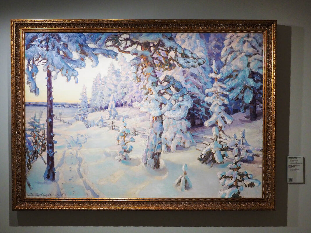 ВАСНЕЦОВ_ЗИМНИЙ_СОН - Сергей Янович Микк ВАСНЕЦОВ_ЗИМНИЙ_СОН - Сергей Янович Микк