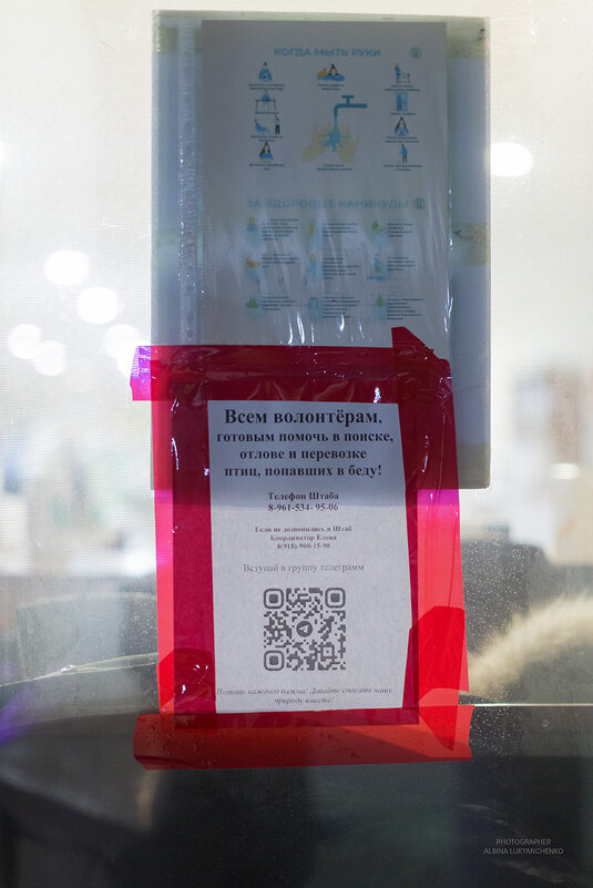 чс - Albina Lukyanchenko