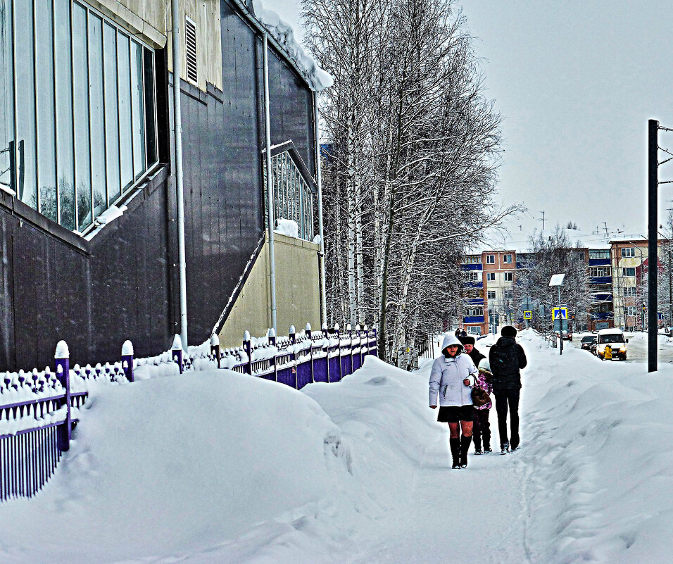 Февраль...Замело снегом тропку! - Владимир 