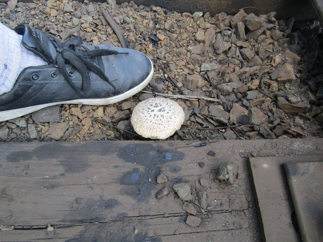 Умудрился... - Galaelina ***