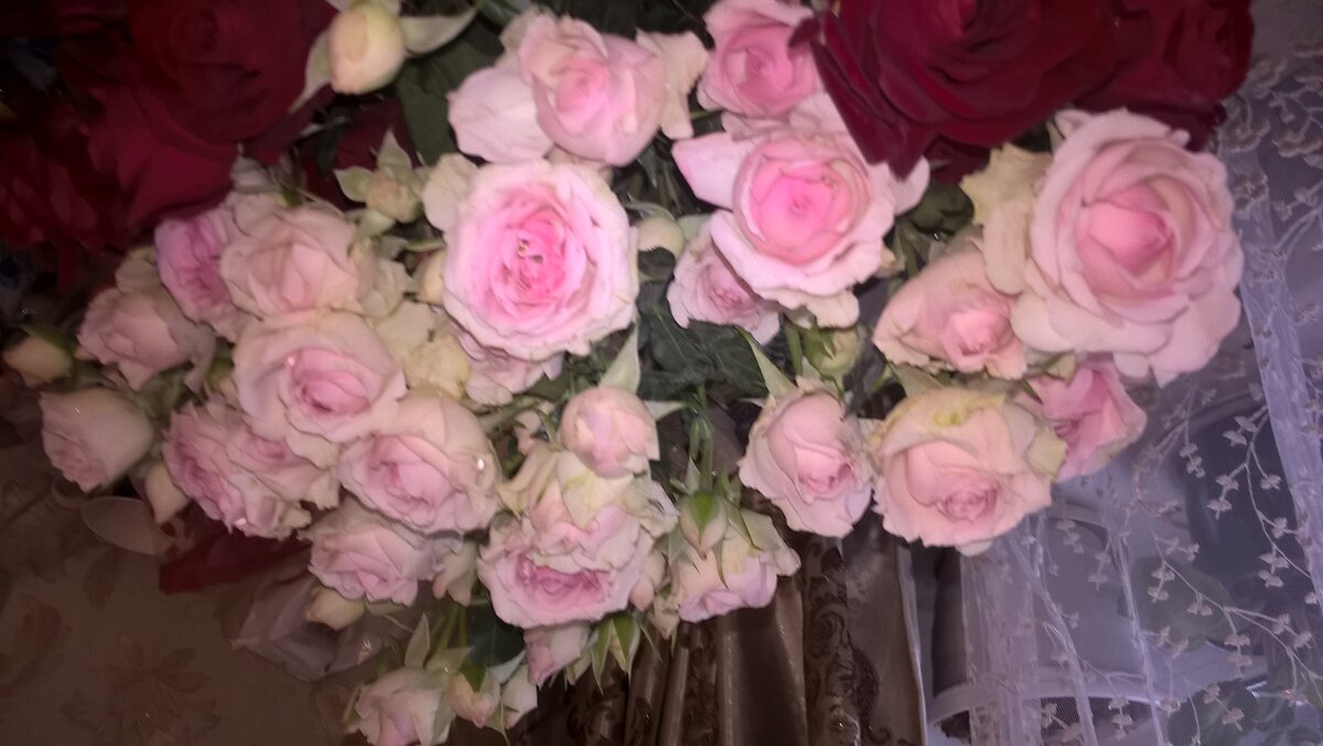 Розы - Елена Семигина Розы - Елена Семигина