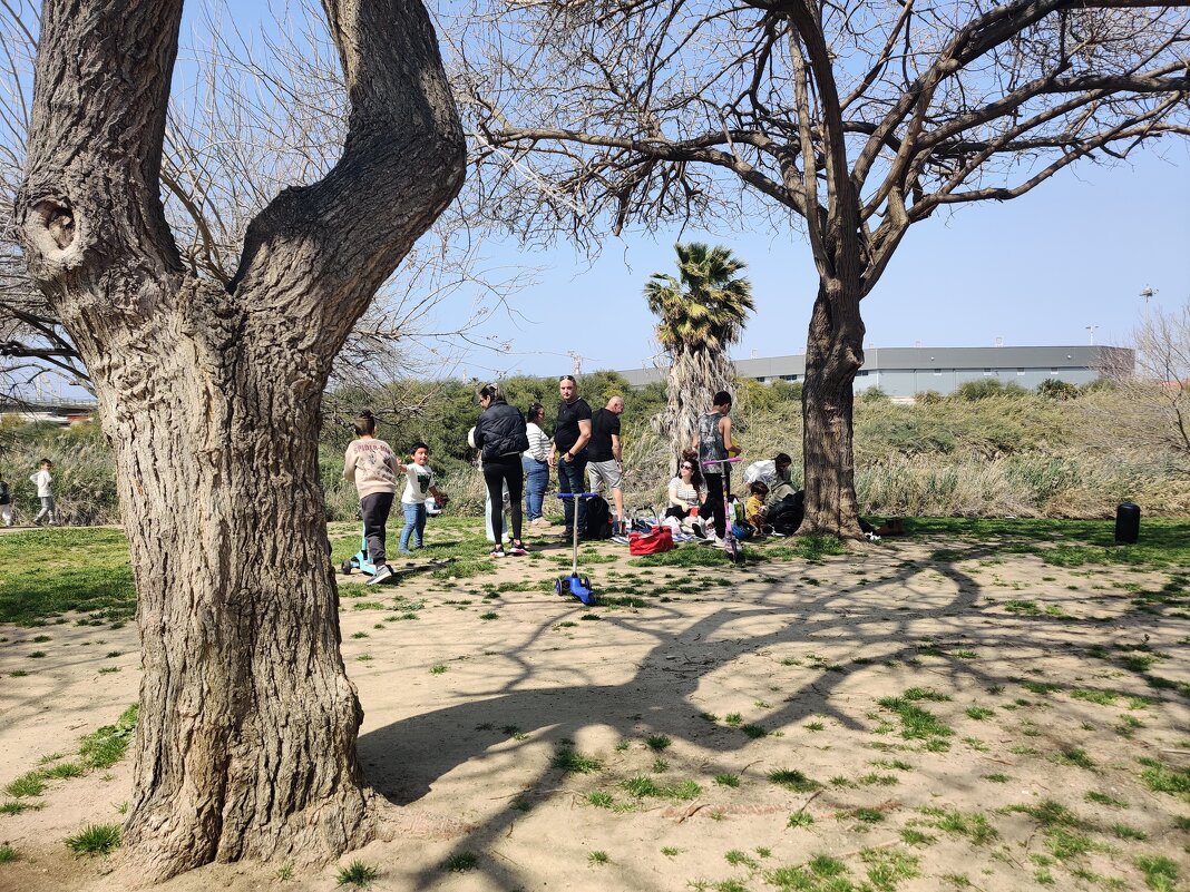 В парке - Светлана Хращевская