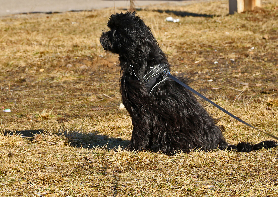 Туча на страже - Светлана 