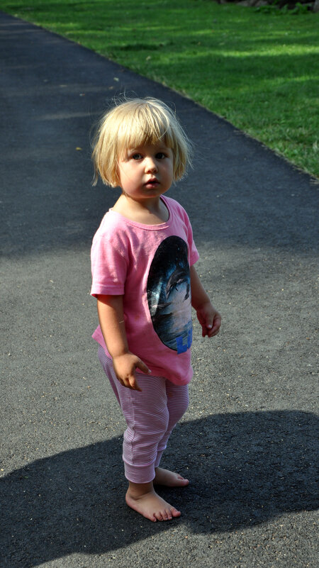 Юная шведка - Ирина Ватолина