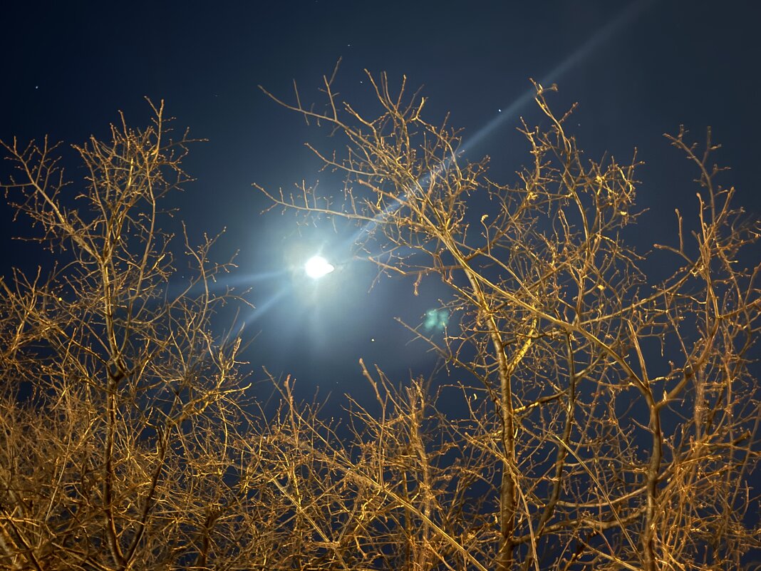 Свет - Iren Brilliance