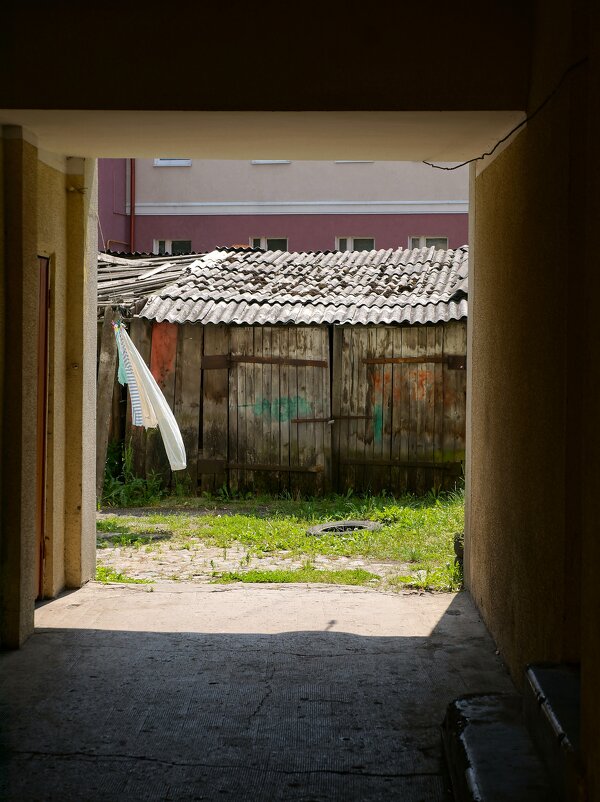 |  -  | - Алёна Савина