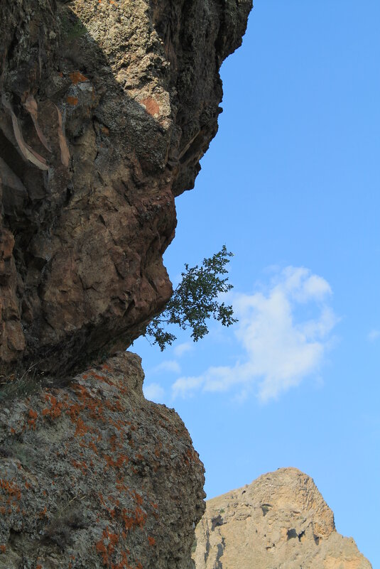 Скала и небо - Олег Зоркий