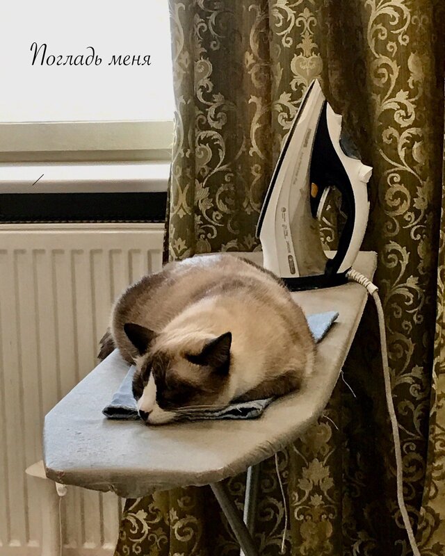 Погладь меня - Ирина Картина