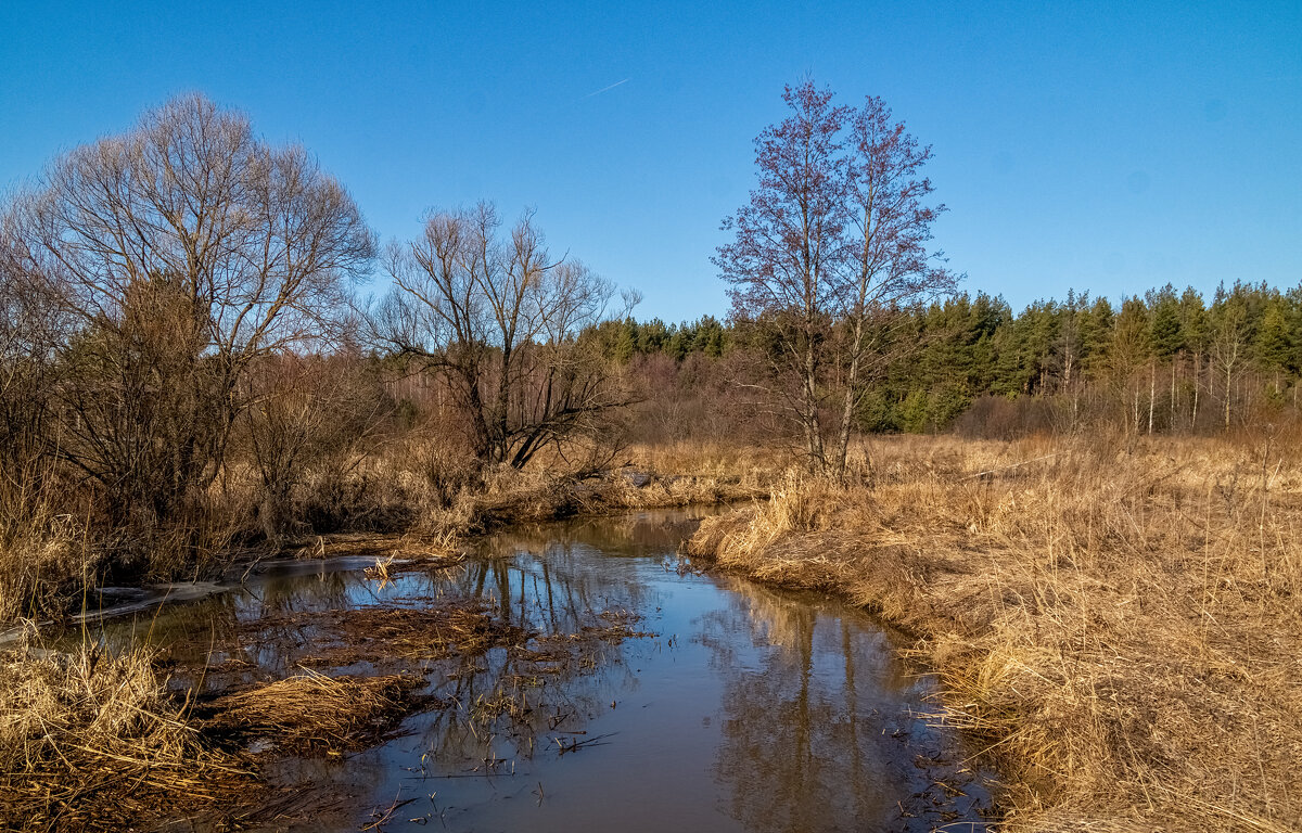 Начало Подмосковной весны 2 - Андрей Дворников