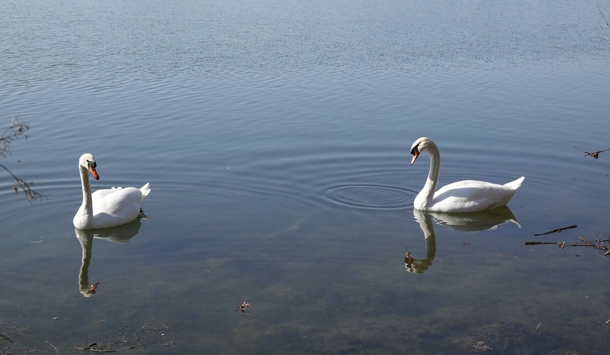 На реке....... - Галина 