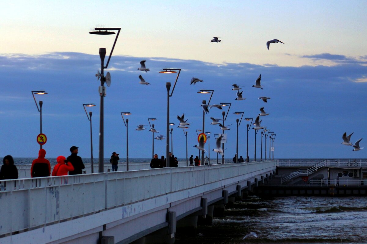 Приходит время - С юга птицы прилетают, Снеговые горы тают - И не до сна! Приходит время - Люди голо - Юрий. Шмаков Приходит время - С юга птицы прилетают, Снеговые горы тают - И не до сна! Приходит время - Люди голо - Юрий. Шмаков