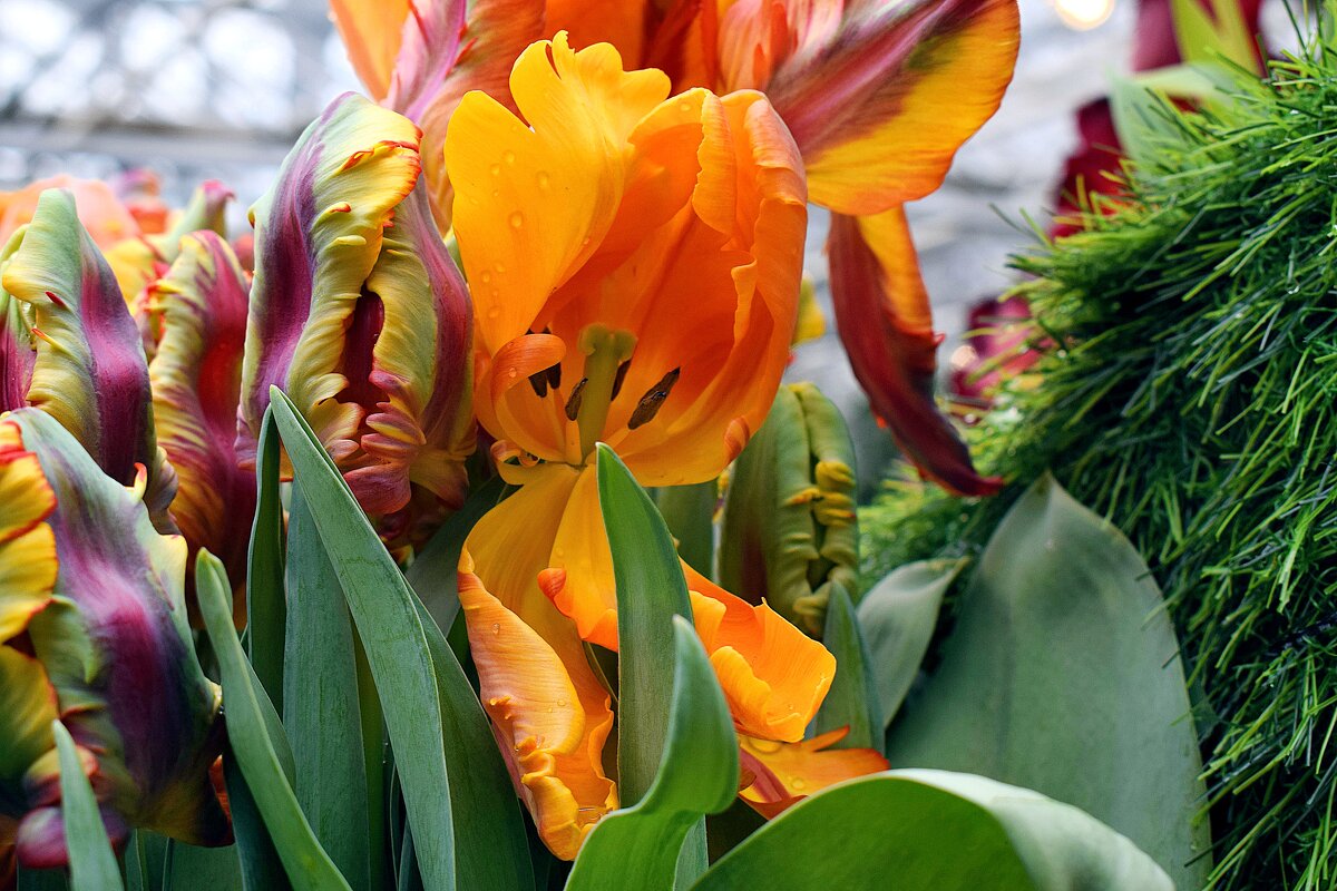 Душа нараспашку. - Татьяна Помогалова Душа нараспашку. - Татьяна Помогалова