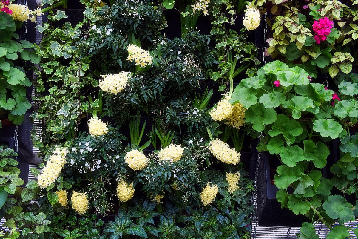 Цветочная композиция. - Татьяна Помогалова