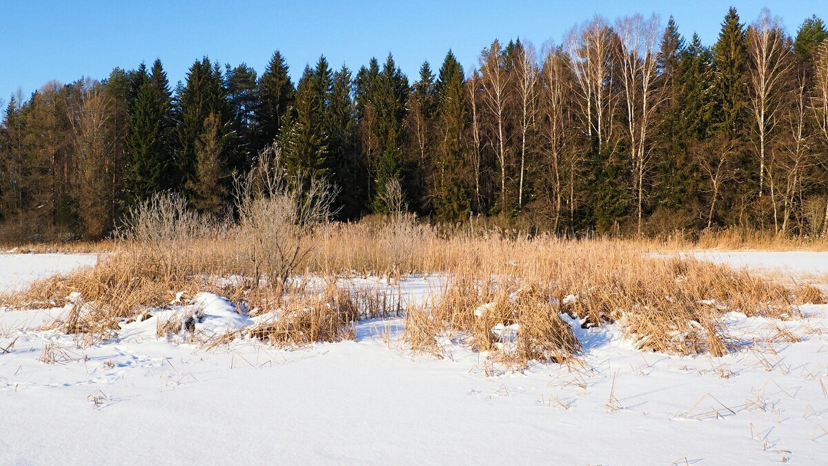 Февраль на Смоленщине - Милешкин Владимир Алексеевич 