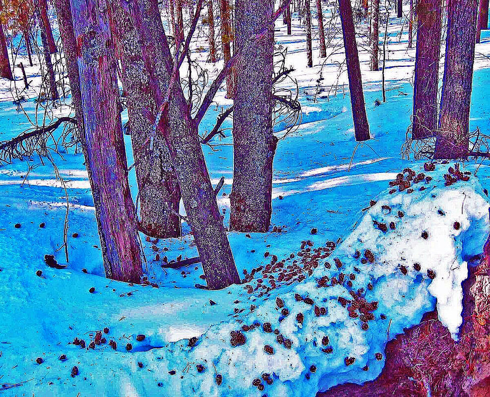 Остров Пим... Дятлова  кузница! - Владимир 