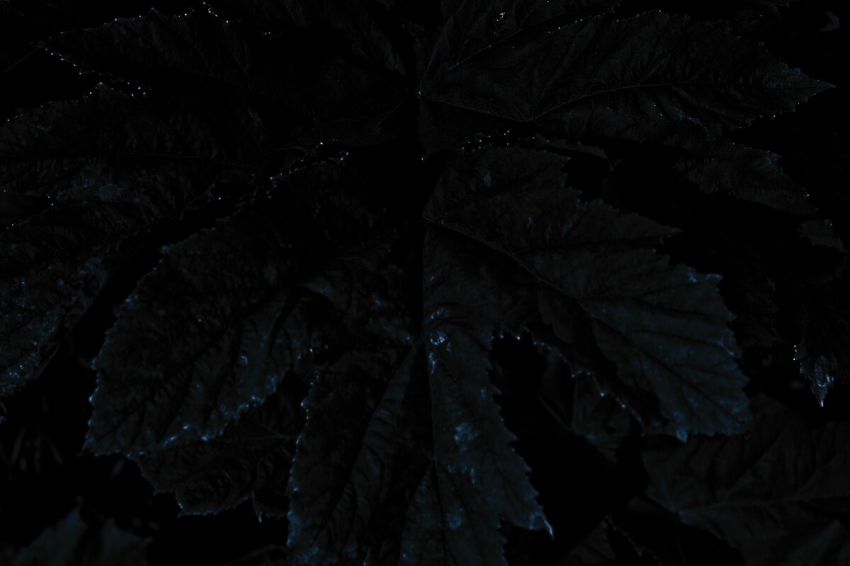 Название отсутствует - Денис Безногов Название отсутствует - Денис Безногов