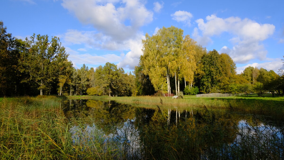 Зеркальный пруд в Тригорском - Олег Зоркий Зеркальный пруд в Тригорском - Олег Зоркий
