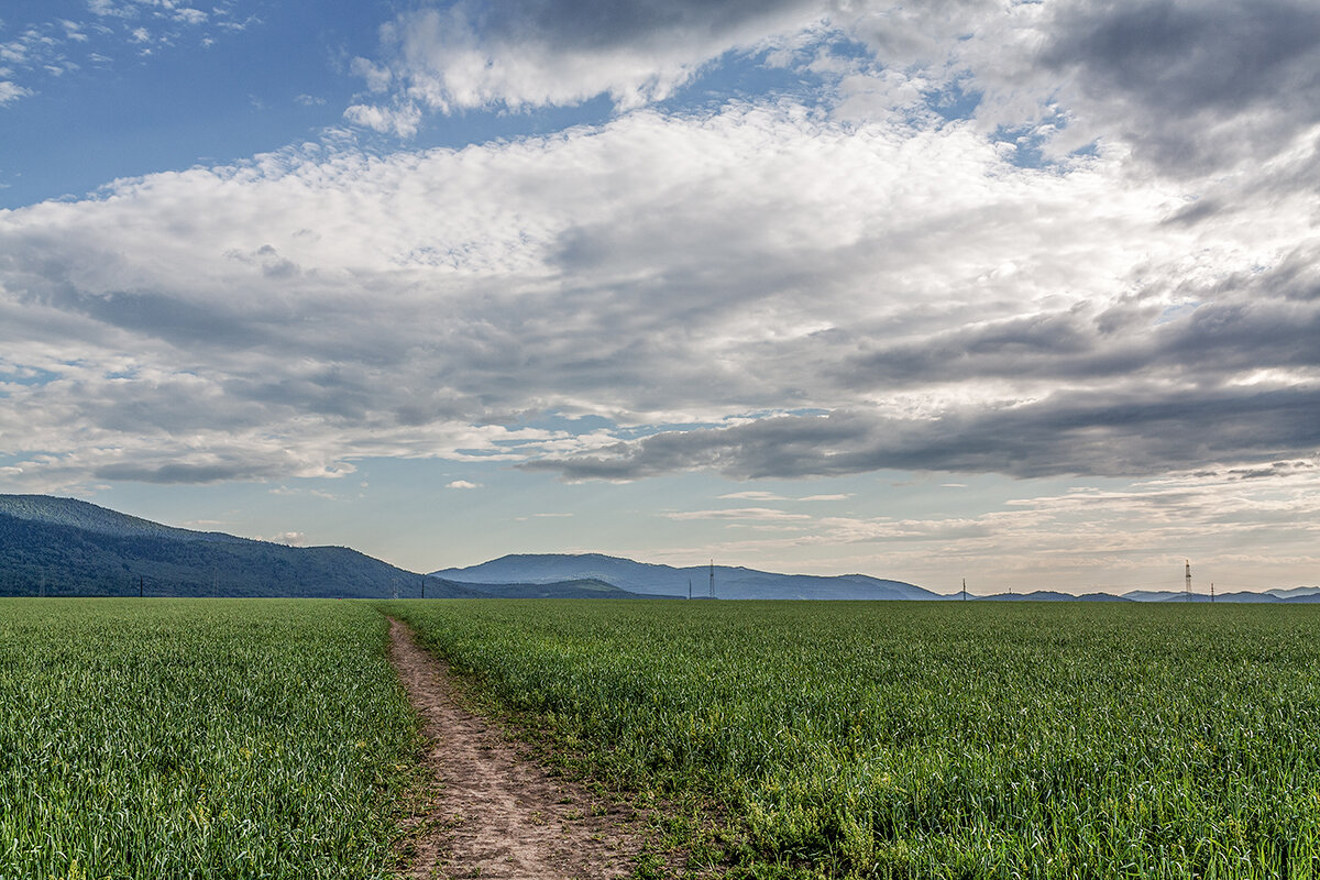Риддер - Дмитрий Риддер - Дмитрий