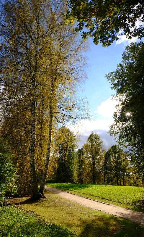 Ранняя осень в Михайловском - Олег Зоркий