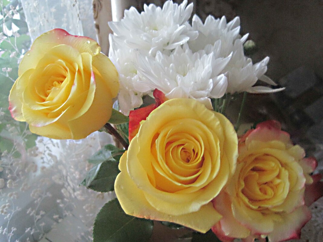 Нежность - Елена Семигина Нежность - Елена Семигина