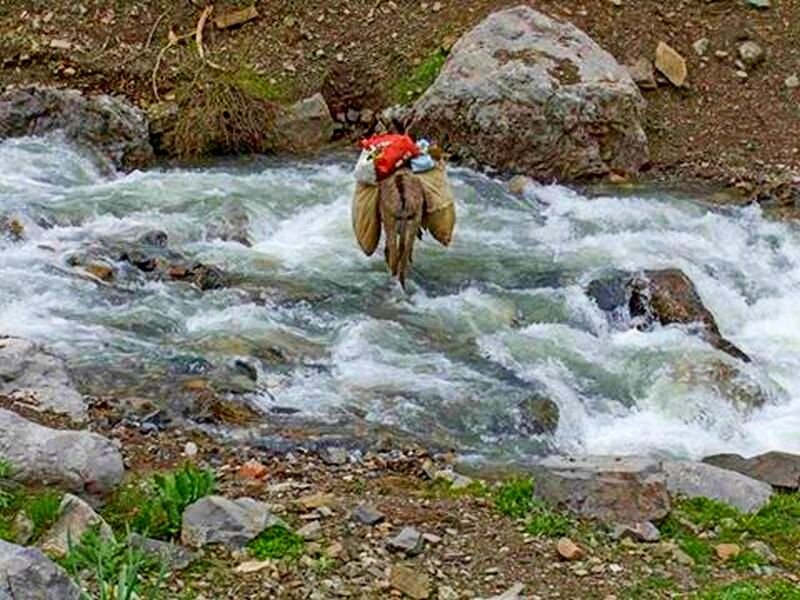 ЛЮБИМАЯ И БЛИЗКАЯ РЕЧКА. - Виктор Осипчук ЛЮБИМАЯ И БЛИЗКАЯ РЕЧКА. - Виктор Осипчук