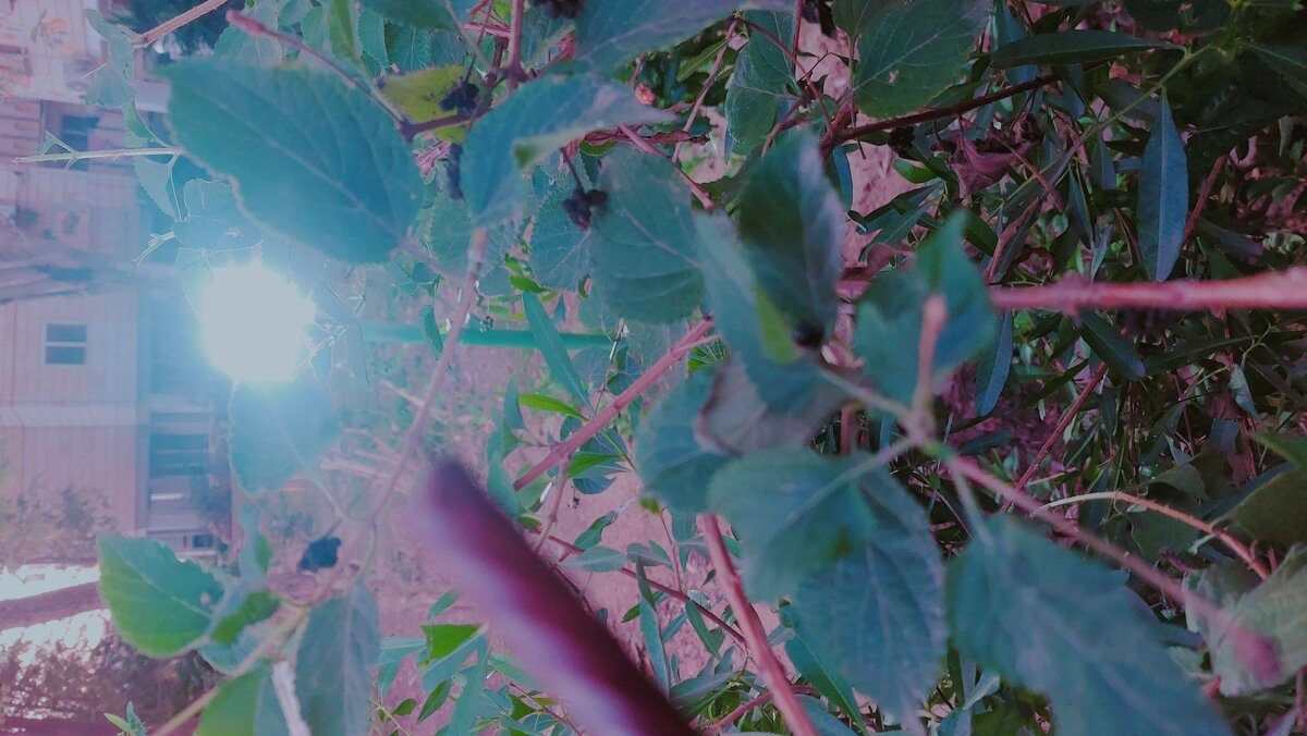 12  КЛОС (702) - CLOSE WAYS ALL