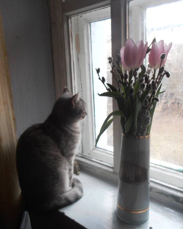 Там, за окном... - Наталья 