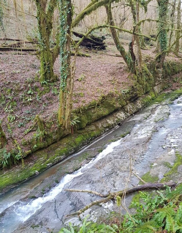 ОРЕХОВКА - Tata Wolf