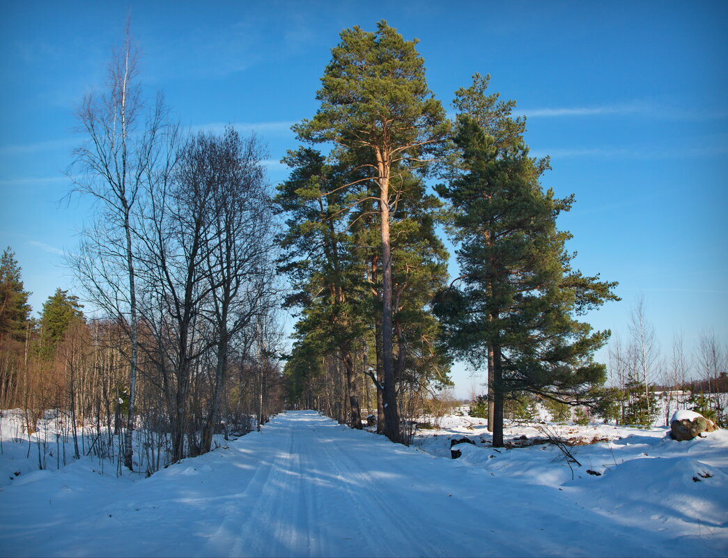 *** - lady v.ekaterina