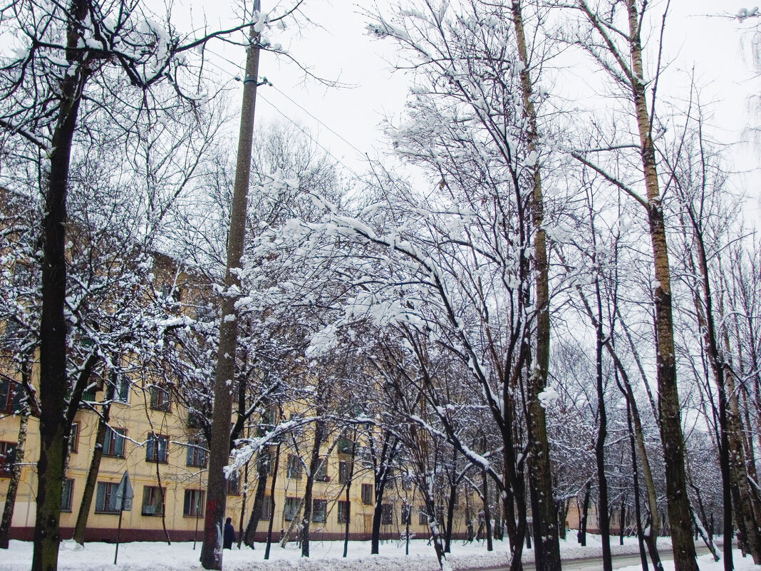 Родные улицы - Джованни Луче