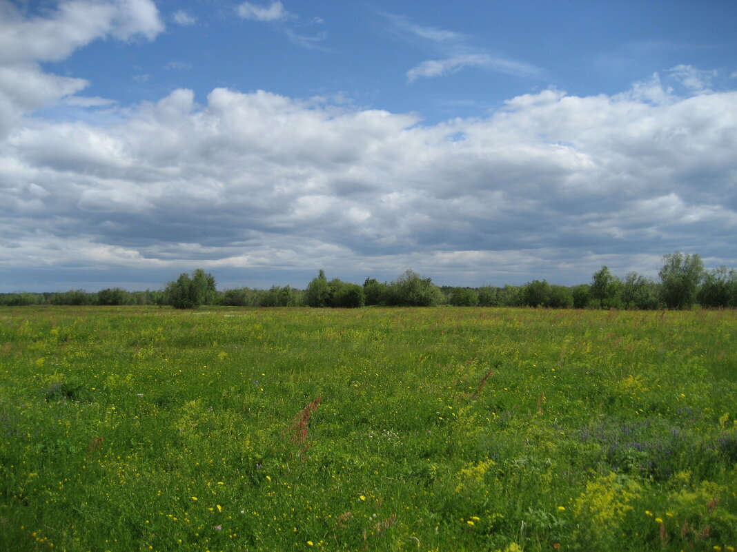 Лето - Anna Ivanova Лето - Anna Ivanova