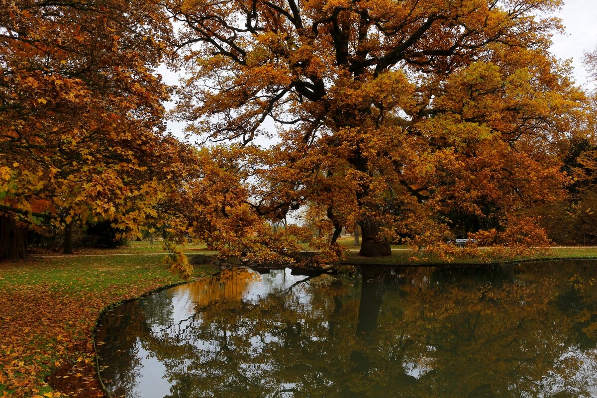 У осеннего озера - Юрий. Шмаков У осеннего озера - Юрий. Шмаков