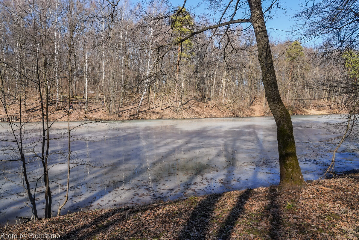 Март в Царицыно... - Владимир Жданов