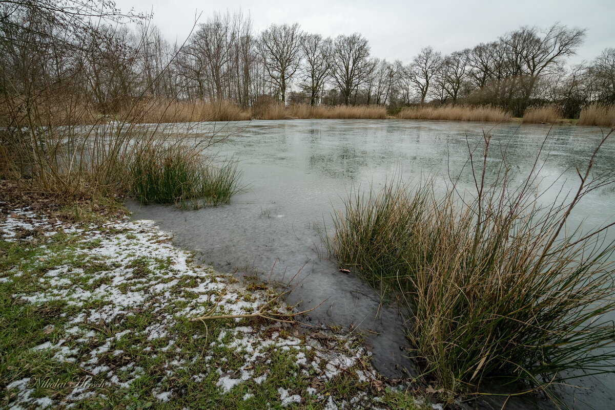 Пруд в январе... - Николай Гирш