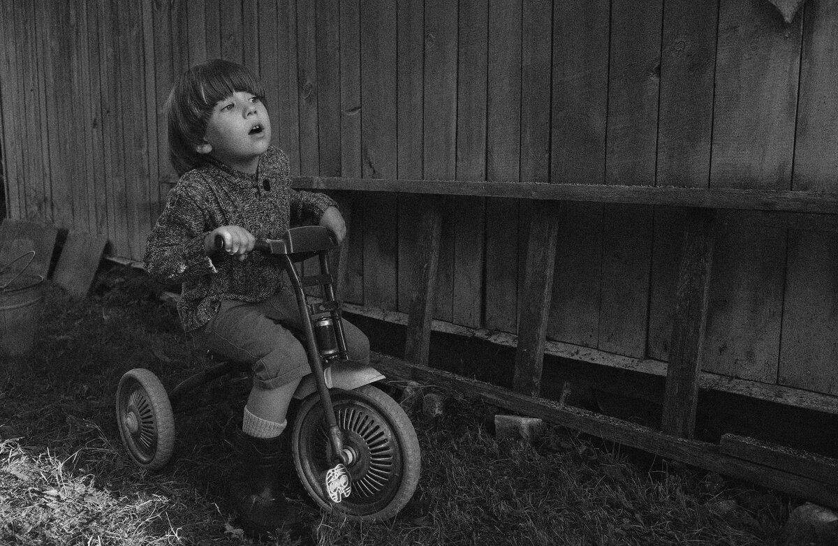 ... - Елена Сиднина