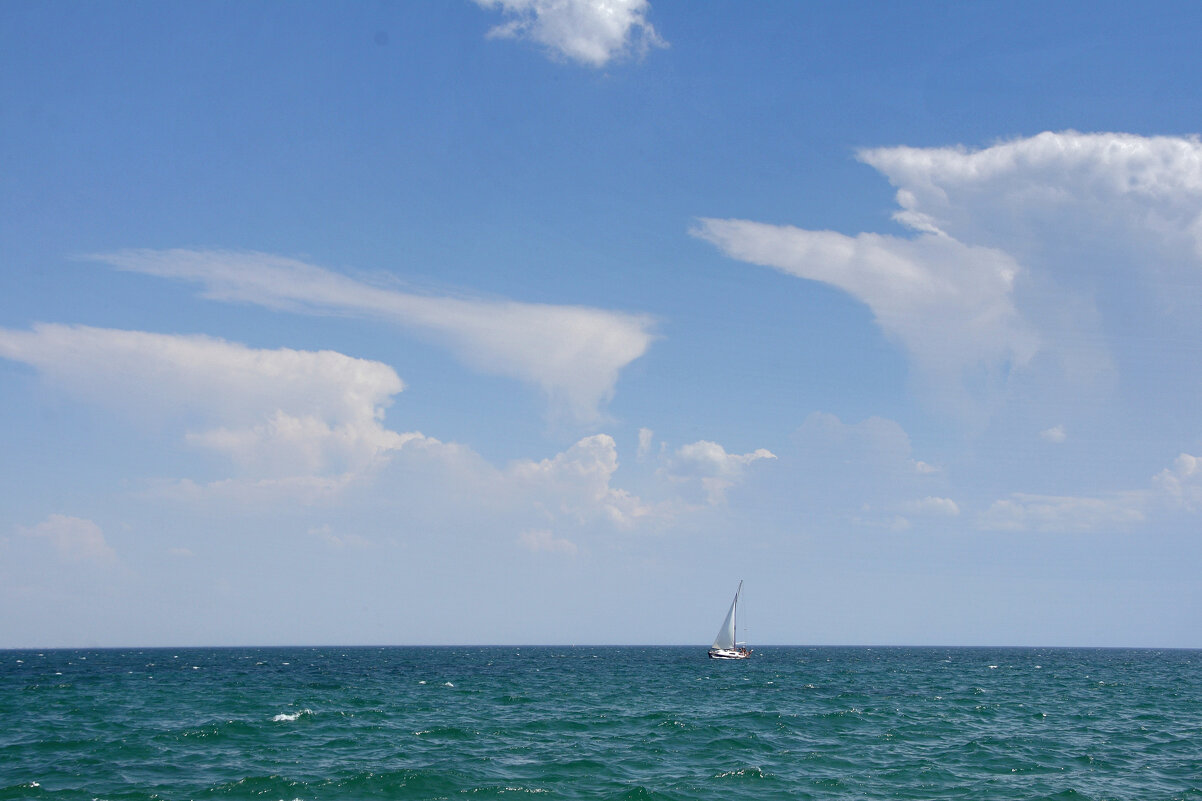 попутный ветер - Всеволод 