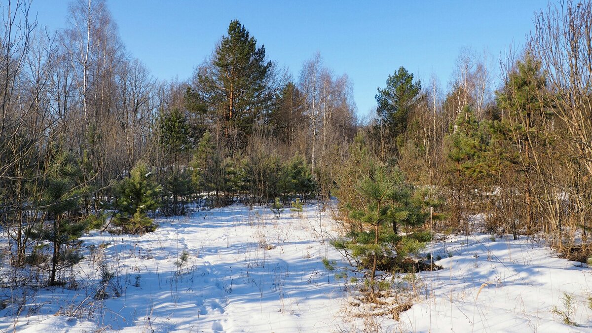 О минувшем феврале - Милешкин Владимир Алексеевич 