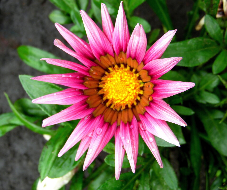 ЗВЕЗДА! - nadyasilyuk Вознюк ЗВЕЗДА! - nadyasilyuk Вознюк