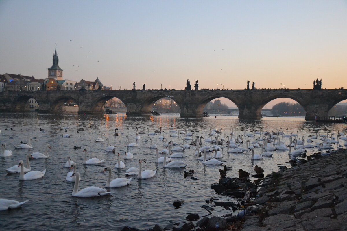 Прага. Карлов мост. - Надежда Прага. Карлов мост. - Надежда