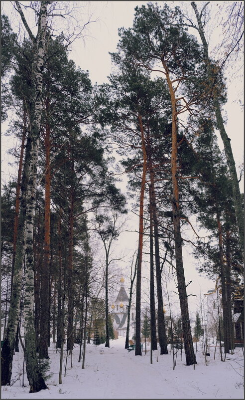 По тропинке - Алексей Хвастунов