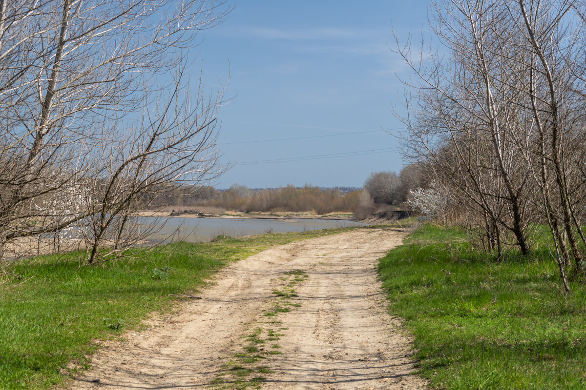 Пригрело солнышко и на прогулку! - Игорь Сикорский Пригрело солнышко и на прогулку! - Игорь Сикорский