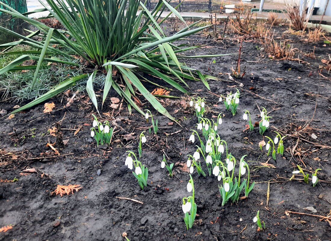 Весна вступает в свои обязанности - Сеня Белгородский Весна вступает в свои обязанности - Сеня Белгородский