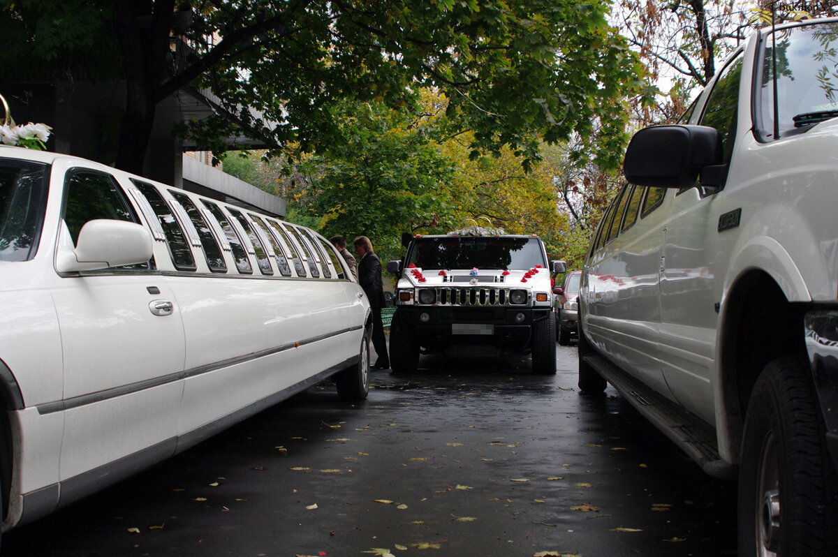 Лимузины-лимузины, а я маленький такой - Виктор Х. 