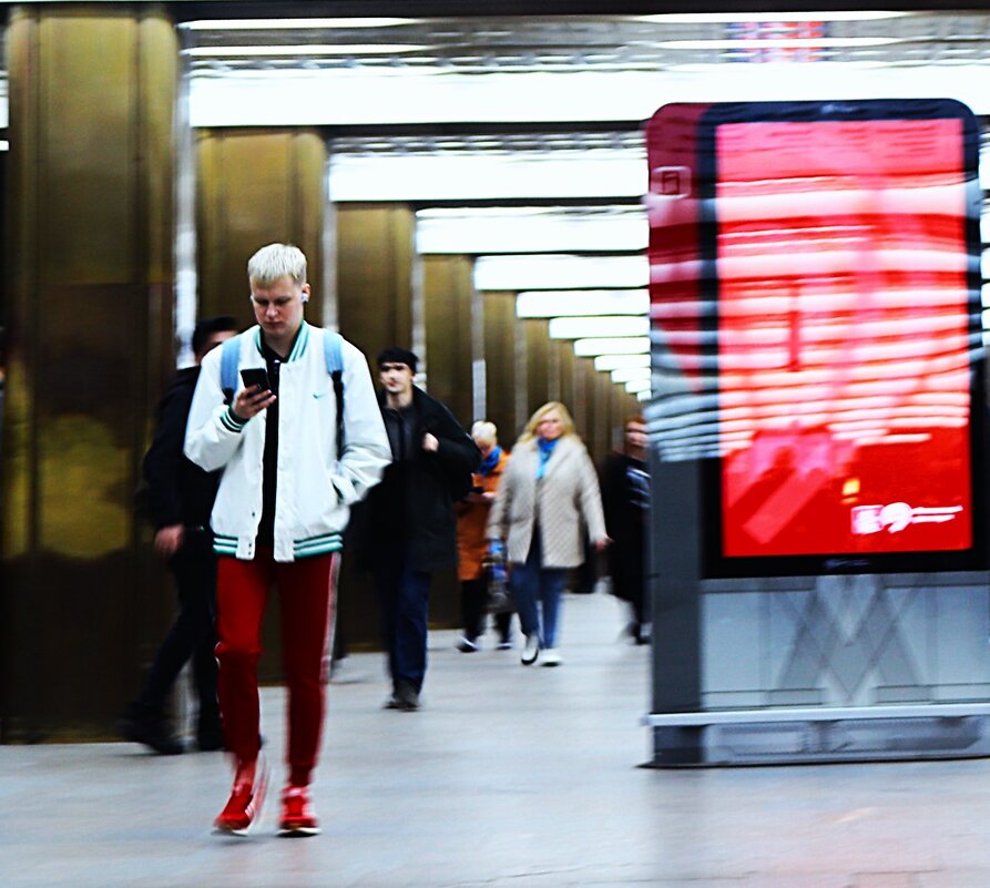 Вдоль колонн. - Василий Палий