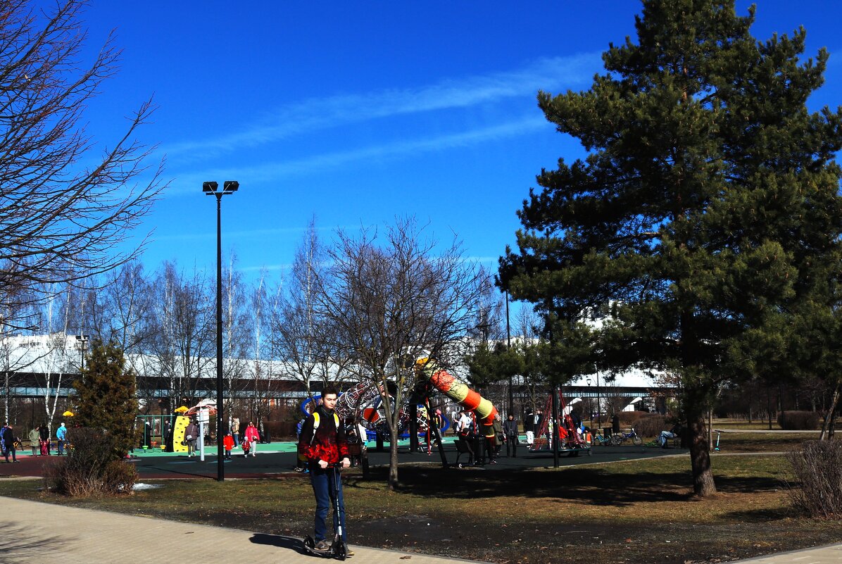 Весенняя активность. - Василий Палий
