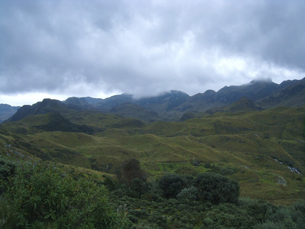 Национальный парк Кахас, Эквадор. - unix (Илья Утропов) Национальный парк Кахас, Эквадор. - unix (Илья Утропов)