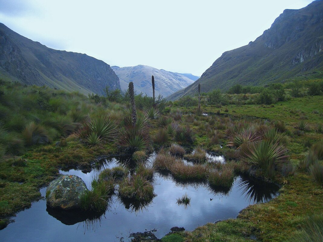В Национальном парке Кахас. - unix (Илья Утропов) В Национальном парке Кахас. - unix (Илья Утропов)