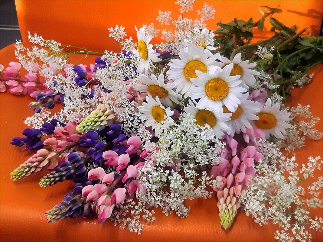 Летние цветы! - Нина Андронова Летние цветы! - Нина Андронова